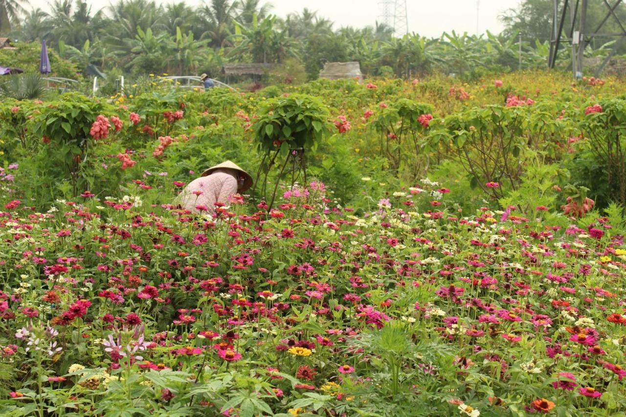 Thach Thao Homestay My Tho Bagian luar foto